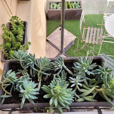 Casa vacanze Irma's House